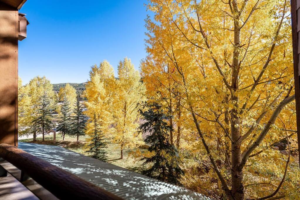 Ski-In/Ski-Out Zephyr 1 Bedroom Condo Winter Park Luaran gambar