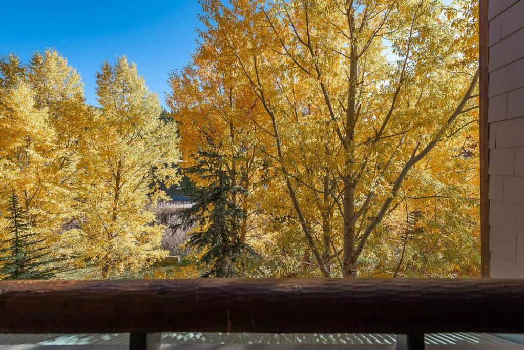 Ski-In/Ski-Out Zephyr 1 Bedroom Condo Winter Park Luaran gambar
